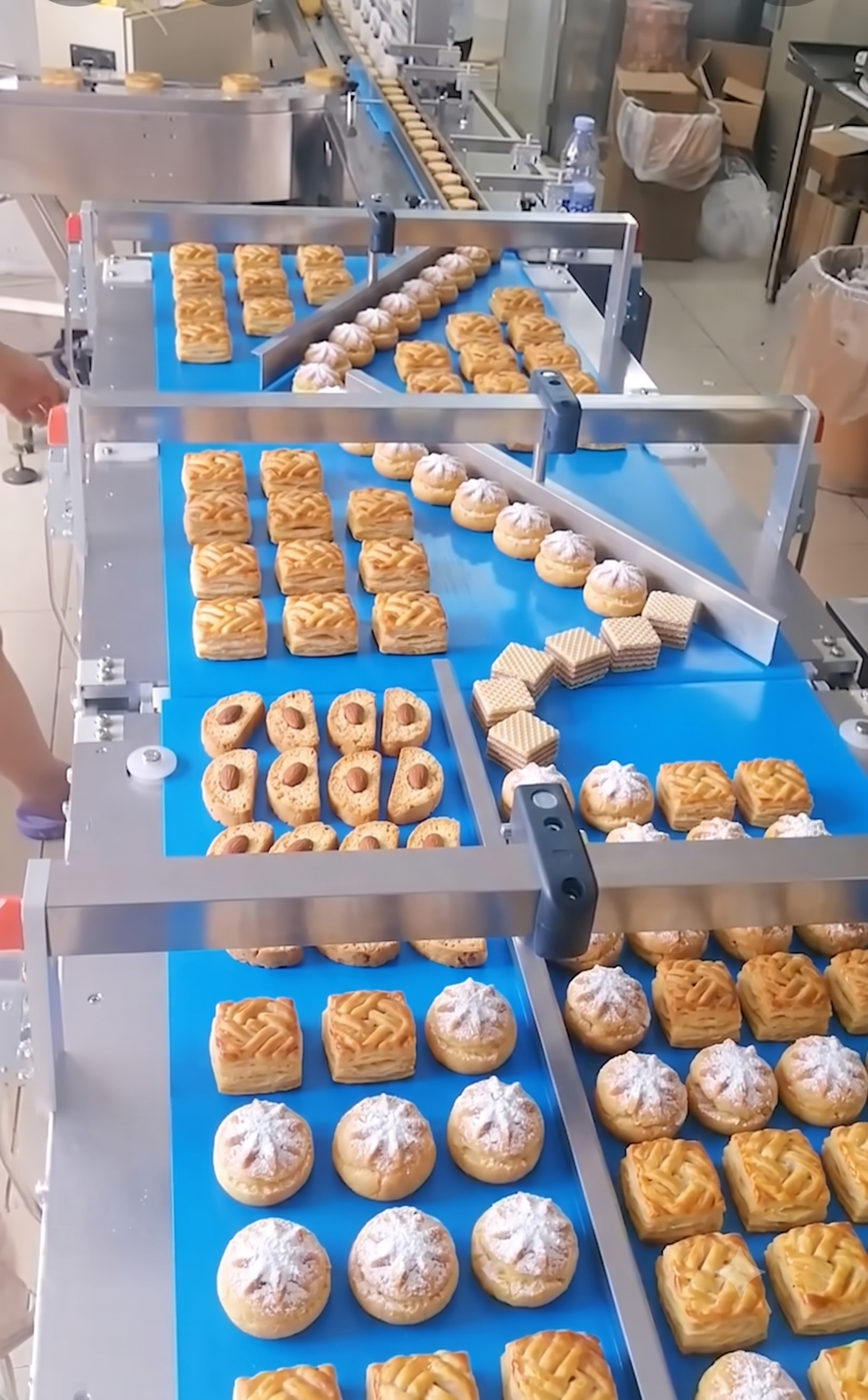 Food Processing